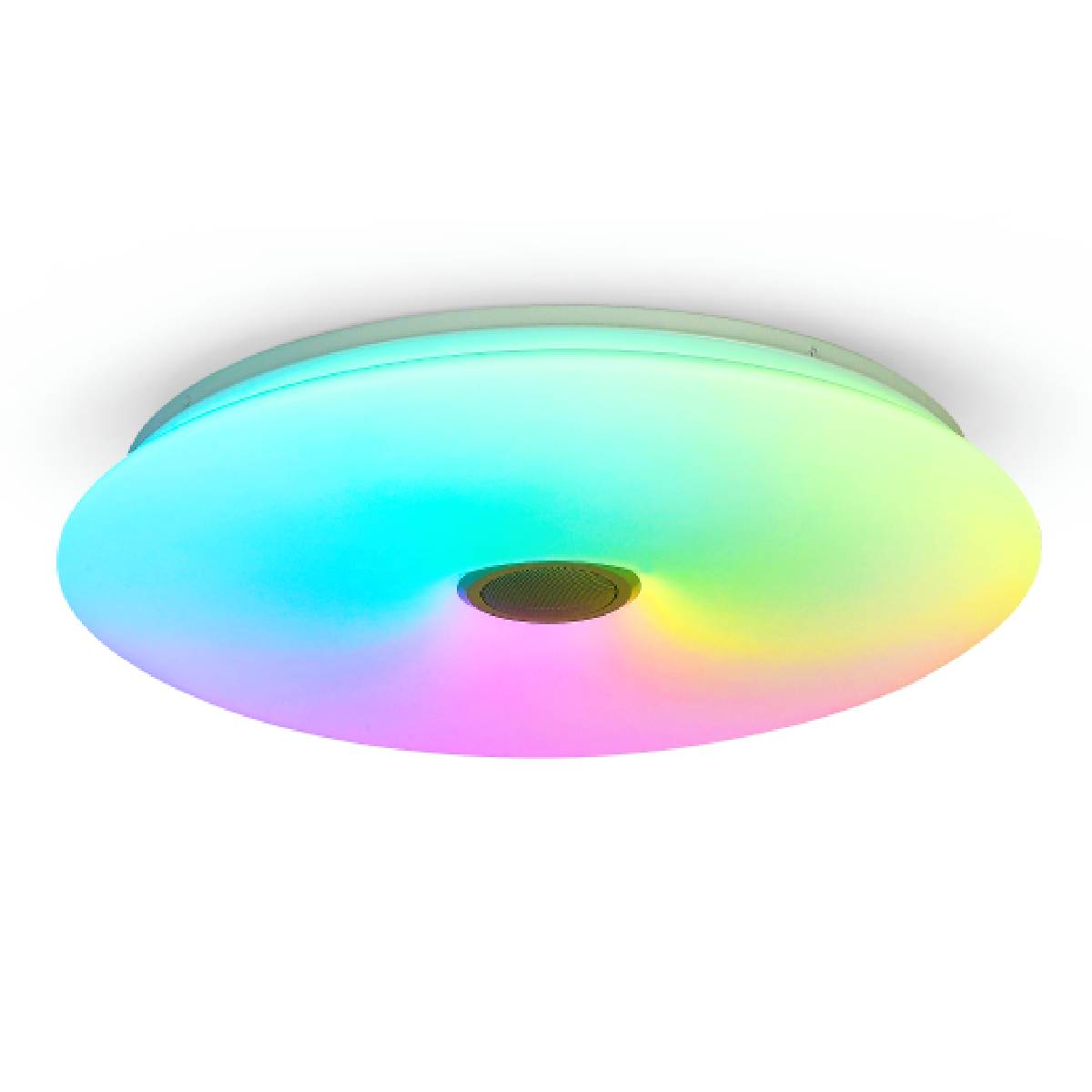 אוליביה – תמונה 2