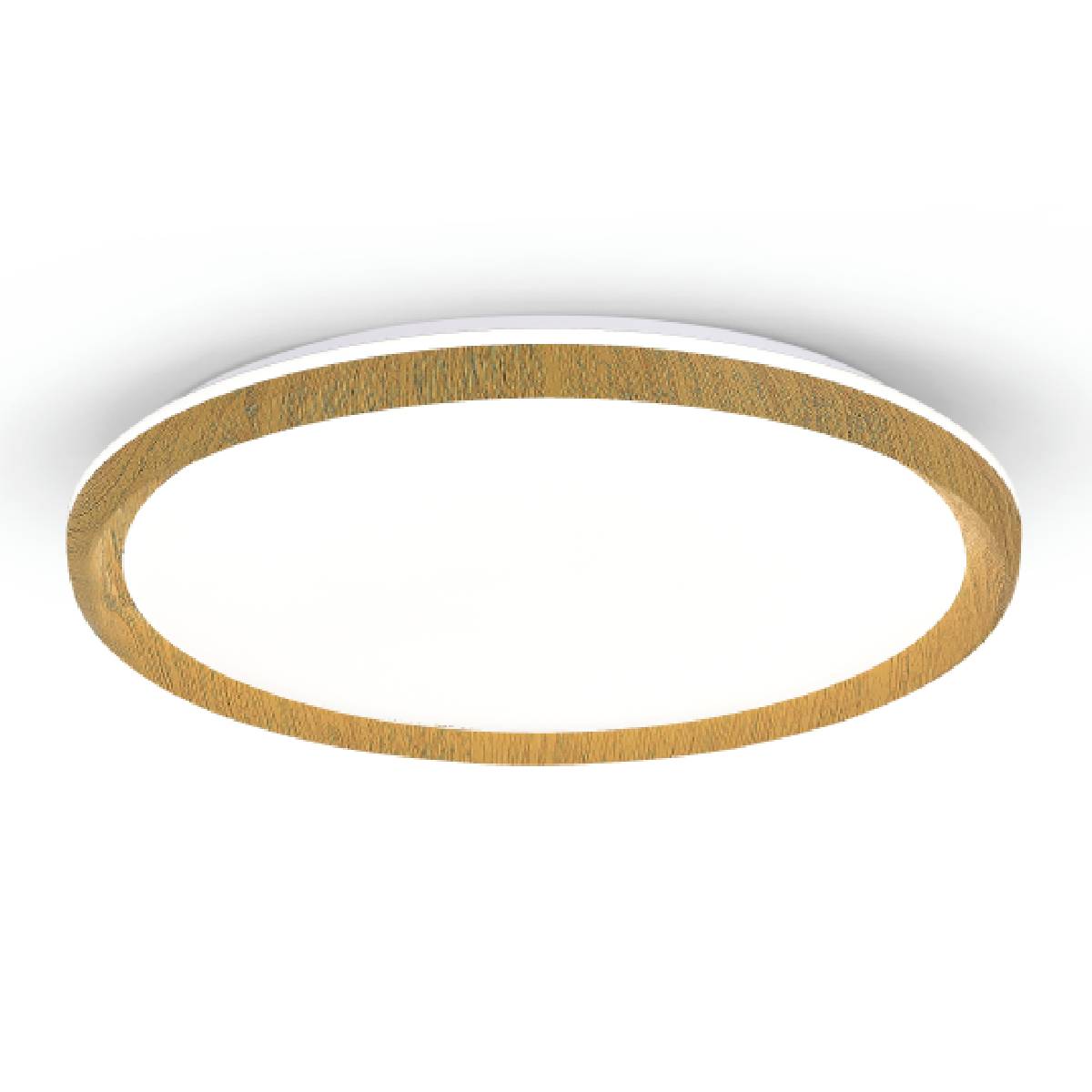 אורליה – תמונה 4