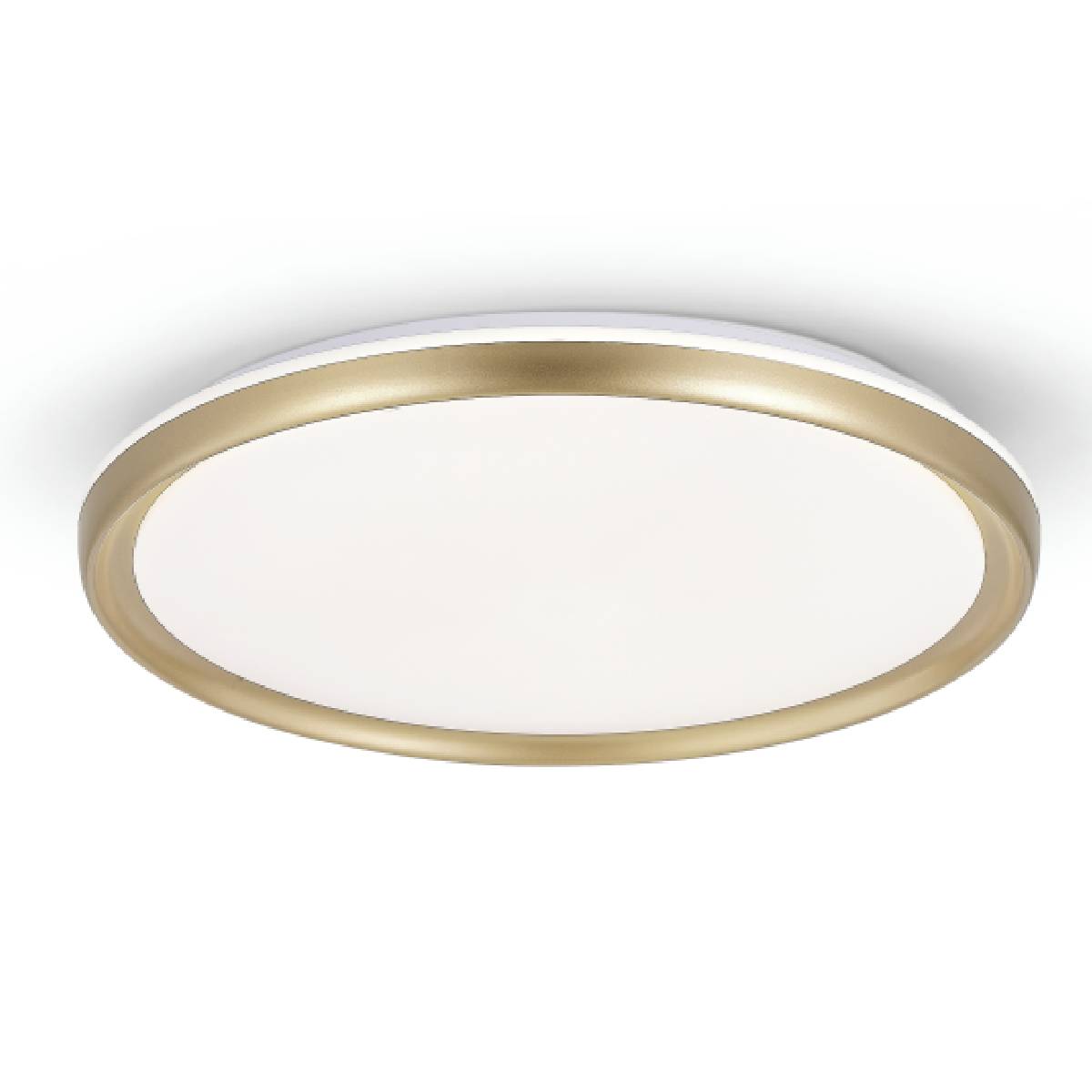 אורליה – תמונה 3