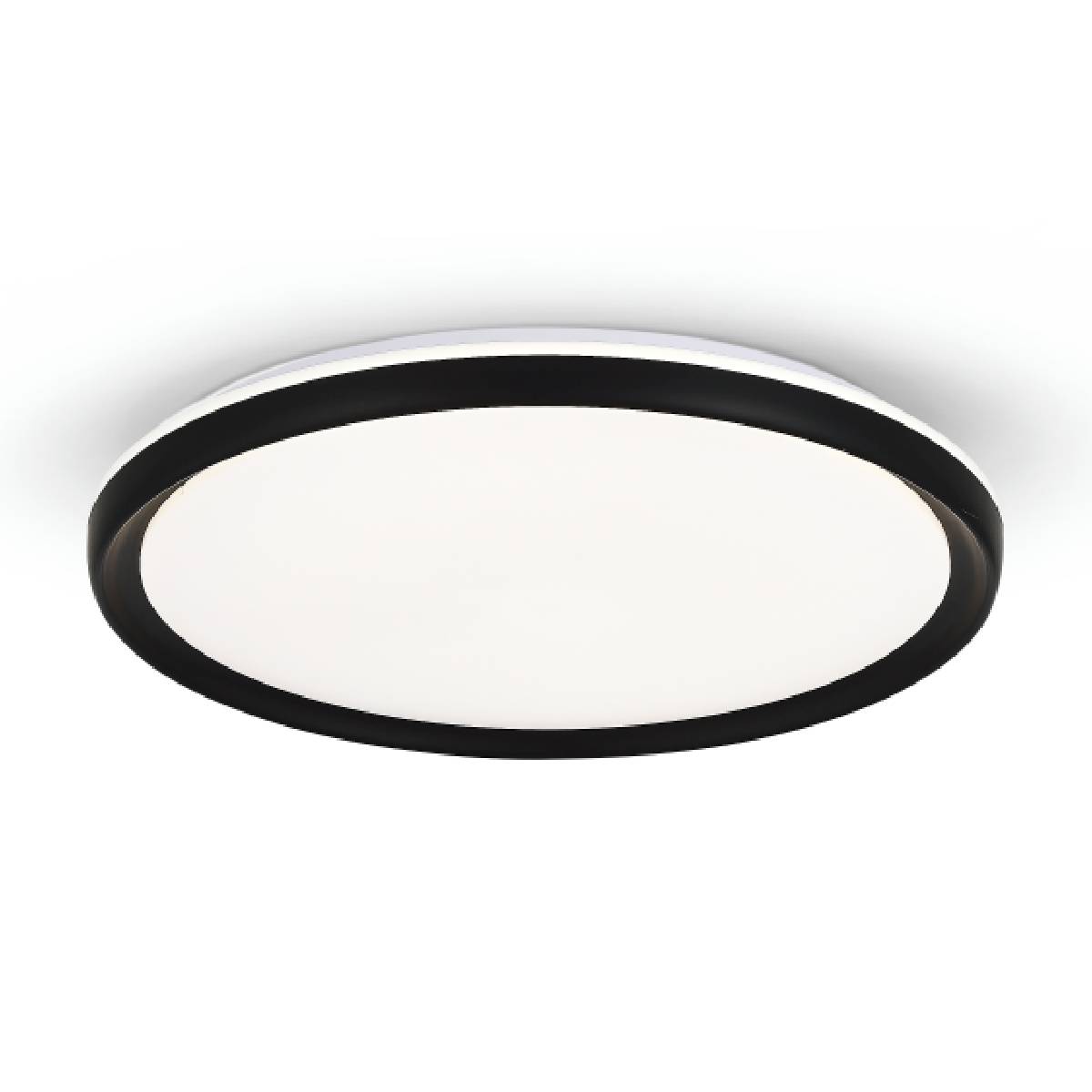 אורליה – תמונה 2