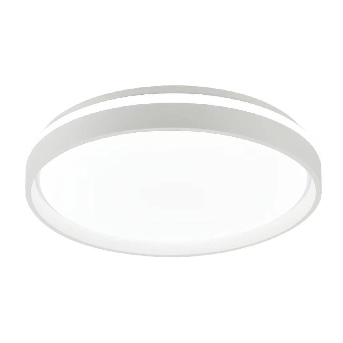 ונסה – תמונה 4