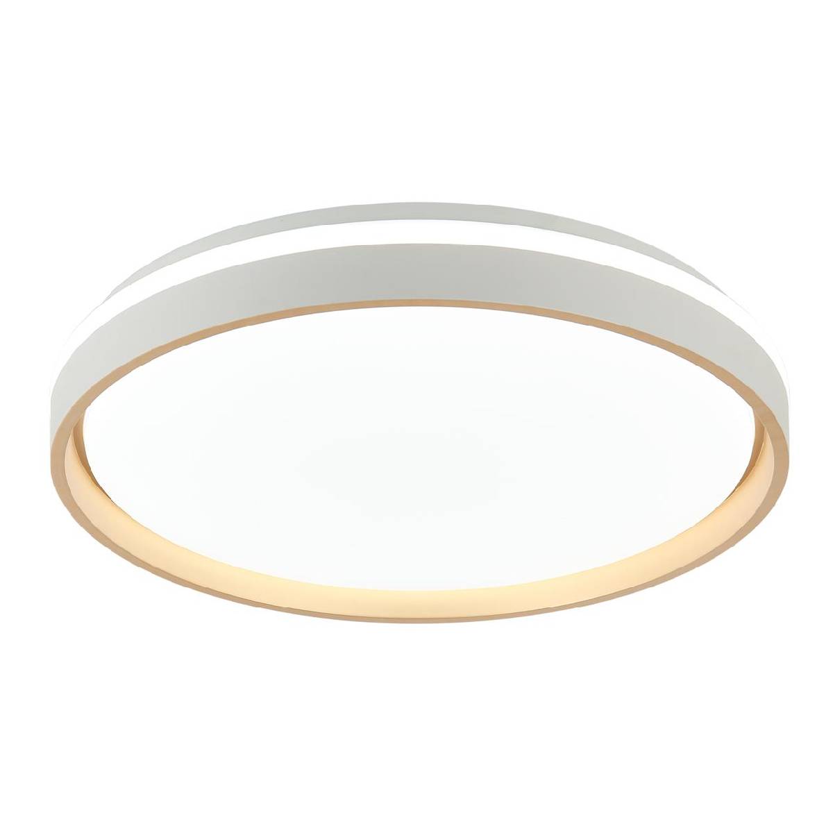 ונסה – תמונה 3