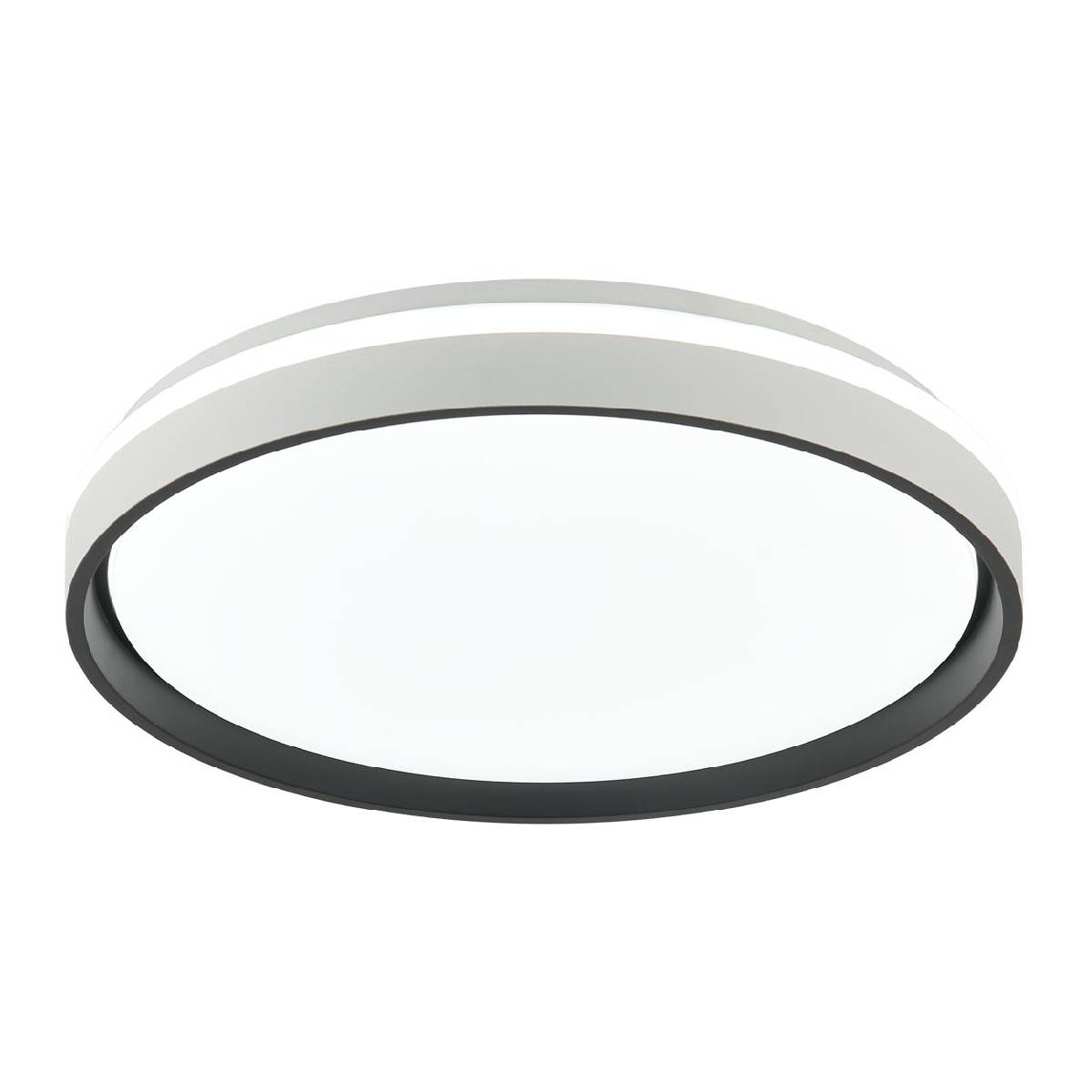 ונסה – תמונה 2