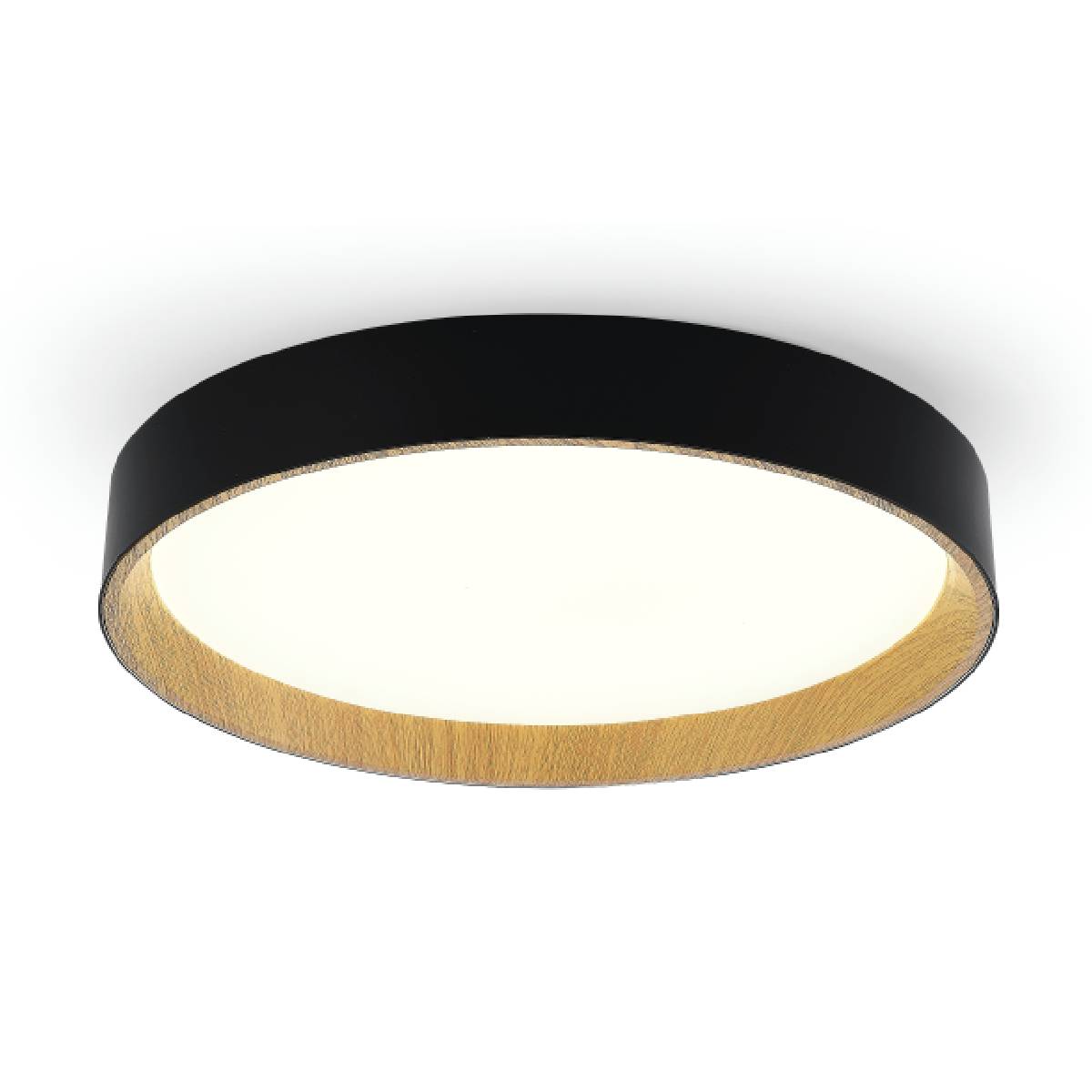 מאיה – תמונה 2