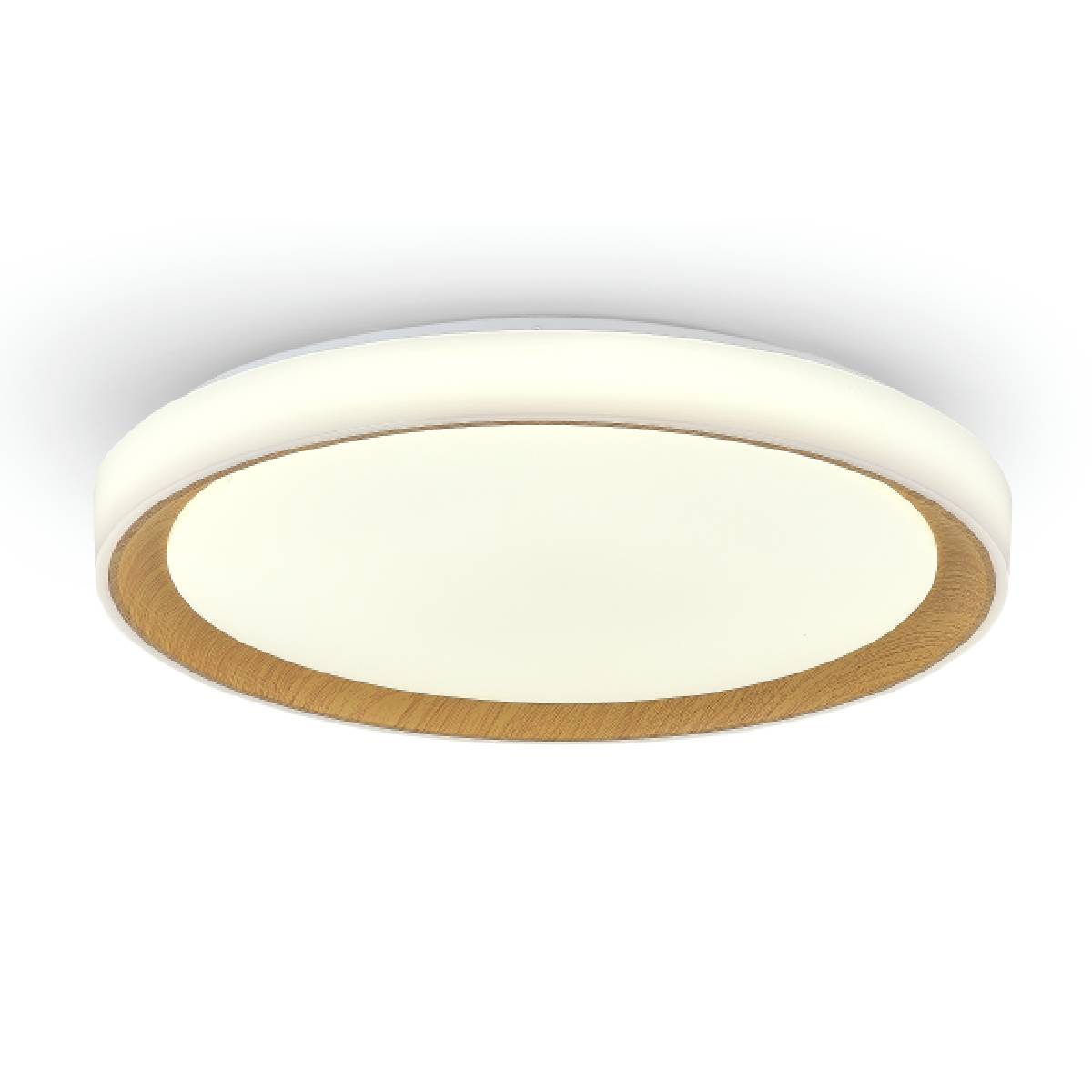 סופיה – תמונה 3